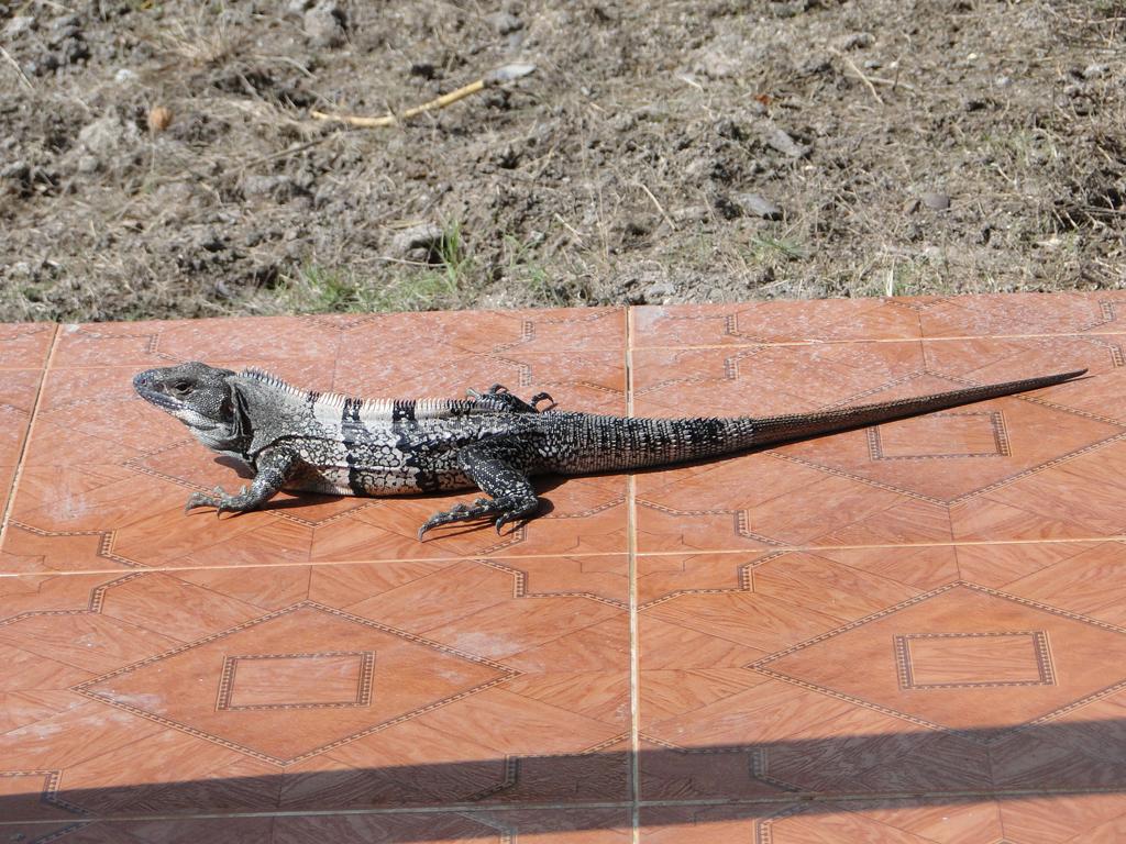 Posada Sunshine Paradise Providencia Island Bagian luar foto