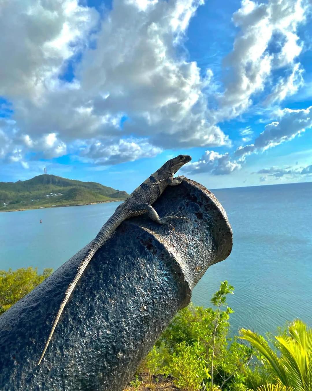 Posada Sunshine Paradise Providencia Island Bagian luar foto
