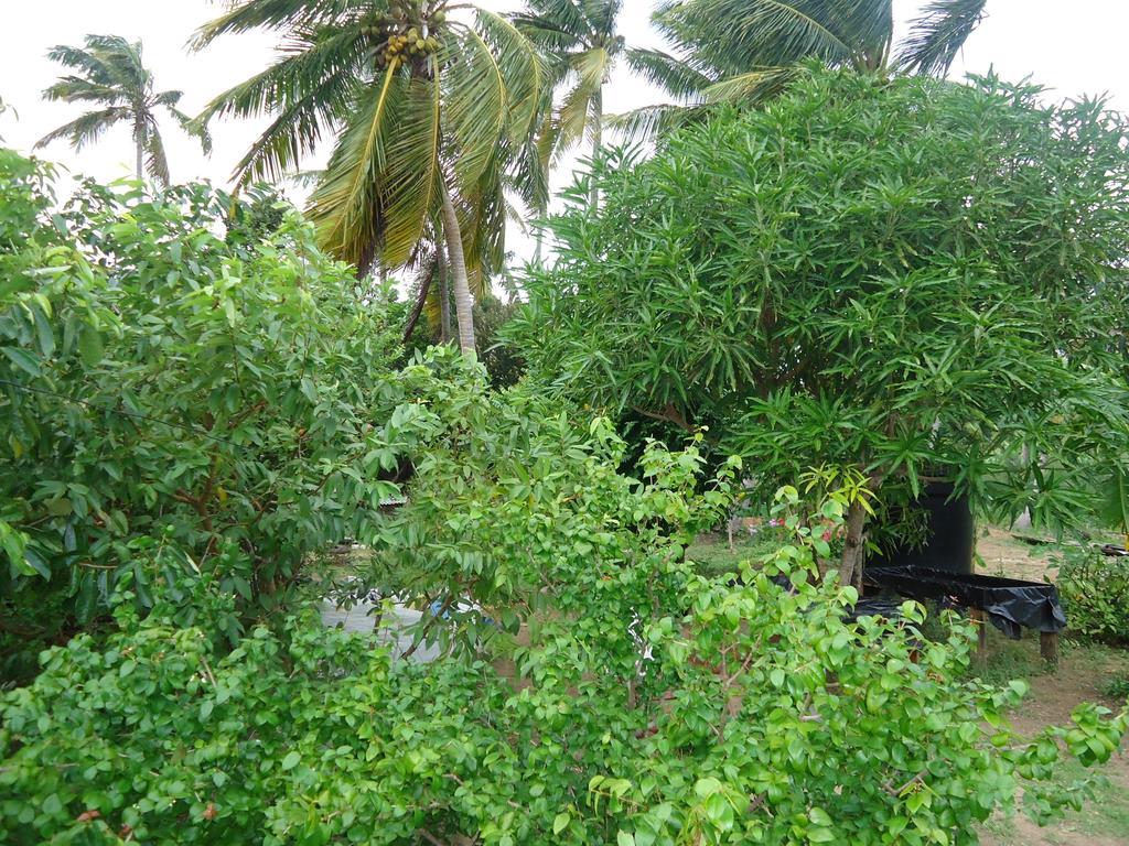 Posada Sunshine Paradise Providencia Island Bagian luar foto