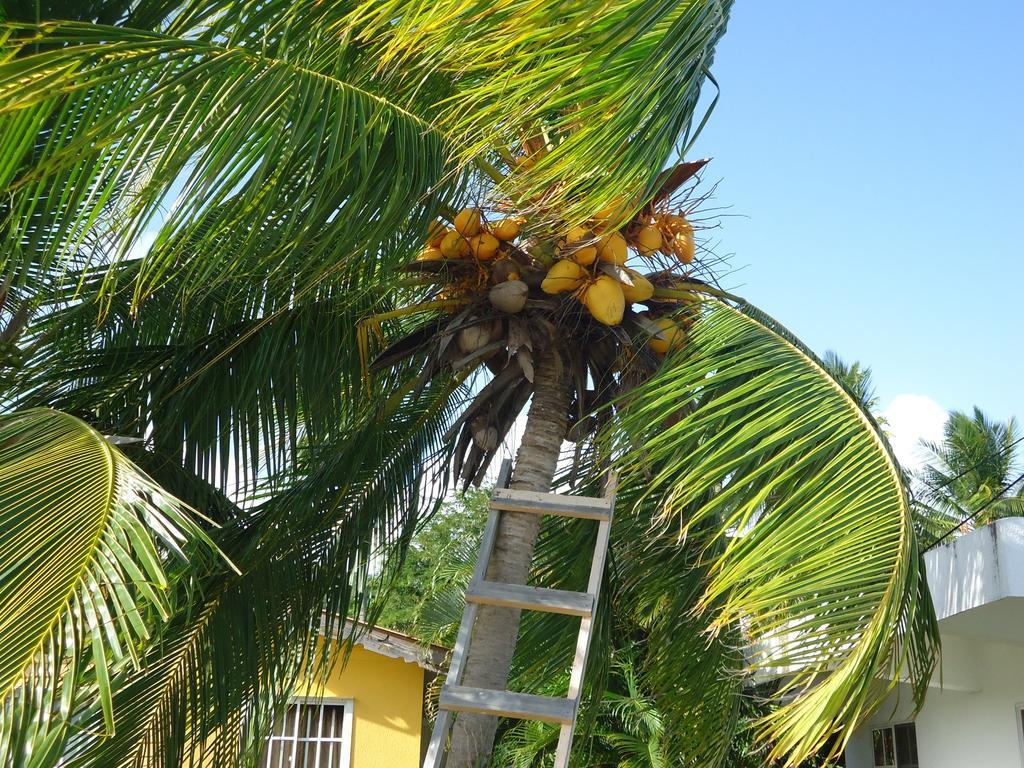 Posada Sunshine Paradise Providencia Island Bagian luar foto