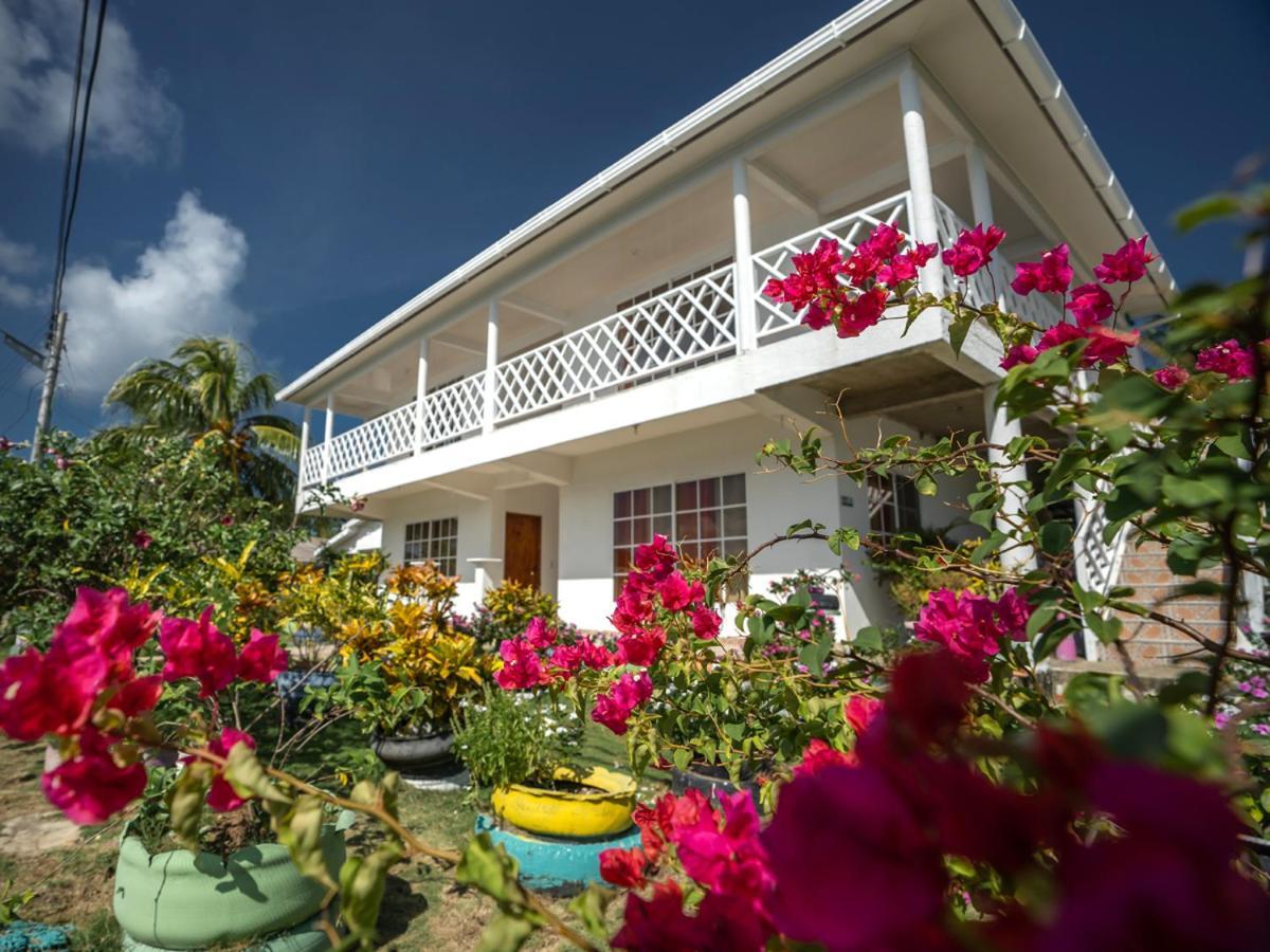 Posada Sunshine Paradise Providencia Island Bagian luar foto